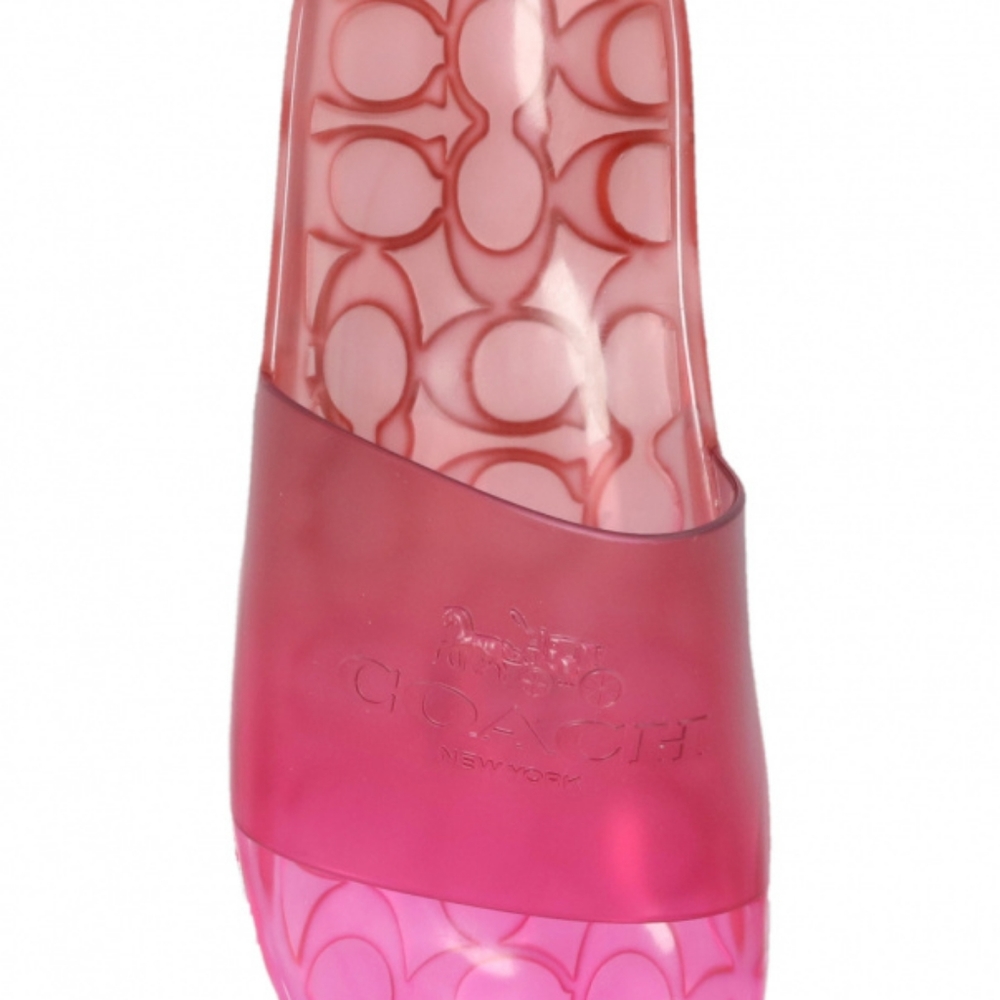 Coach transparent  slides